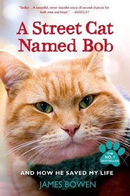 James Bowen A Street Cat Named Bob and How He Saved My Life (Taschenbuch)