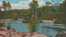 Ammonoosuc River Sugar Loaf Mountain Twin Mt., NH White Border Vintage Post Card