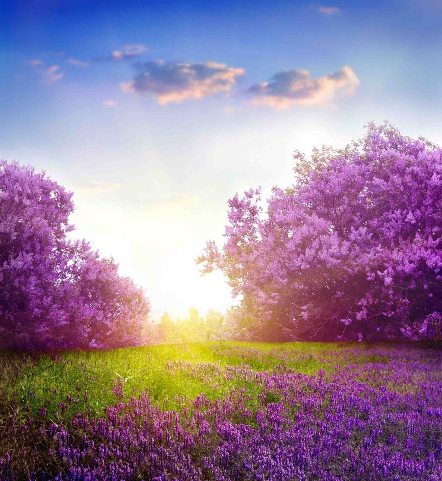 3D Tree Flower Sunshine Sky Landscape Wallpaper Wall Murals Removable