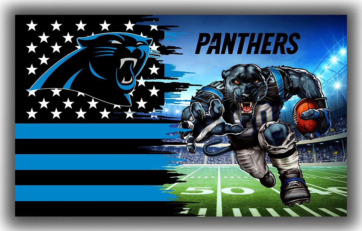 Panthers football sale