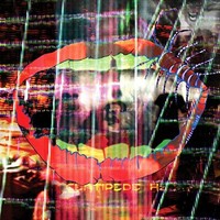Animal Collective - Centipede Hz - Vinyl Record - F123Z
