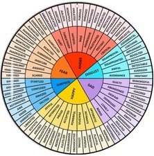 Feelings Wheel Large 12 inch, Acrylic Emotion Wheel Chart For Therapy School Cou