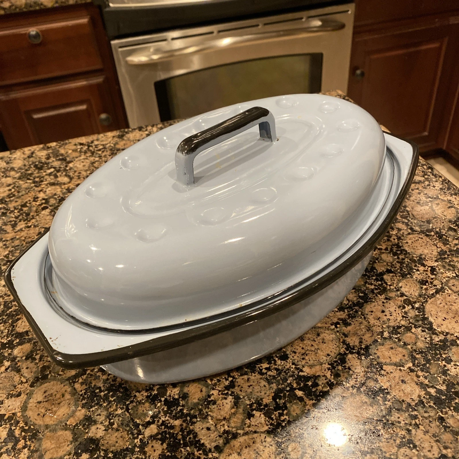 Vintage Enamelware Roasting pan with Lid Light Blue Oval Medium EUC
Opens in a new window or tab