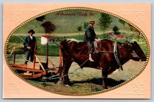 Postcard Southern Tally Ho, Boy Riding Ox Pulling Plow Framed 6Z