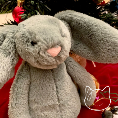 AUTHENTIC Jellycat BASHFUL IVY BUNNY Little RETIRED 2024 New BNWT