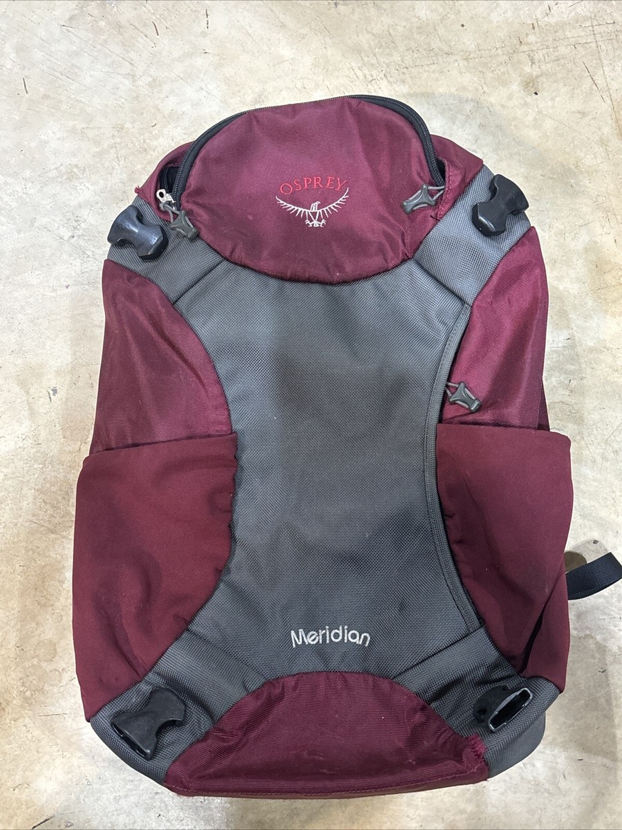 Osprey Meridian Day Pack ONLY Zip On Add On Laptop Carry On Luggage Backpack