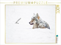 Calvendo Puzzle A Snow-Covered Wolf Lies In The Snow | 1000 Pieces, Finished Siz