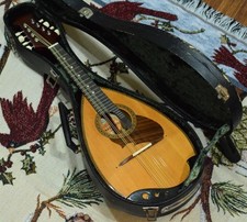  New strings replaced Suzuki Mandolin M-210 Hard case 