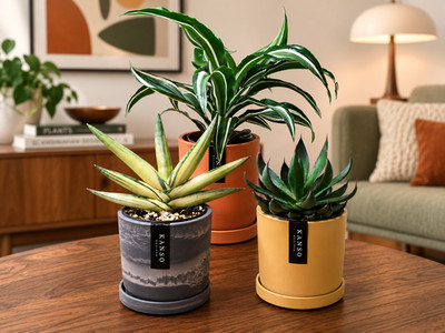 Kanso Designs Indoor Eco Friendly 4'' Planter Pot & Saucer w/ Drainage Hole