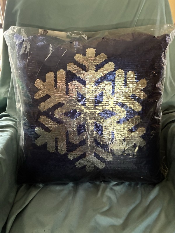 South Street Loft Pillow, Blue with Silver Sequins, Gray Back