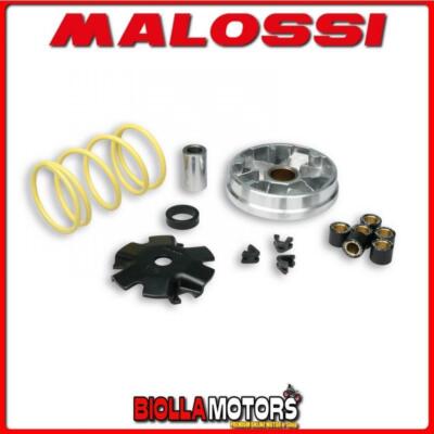 517073 VARIATOR MALOSSI HONDA DIO SR 50 2T (AF18E) MULTIVAR 2000 -