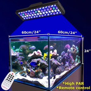saltwater led lights