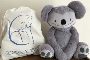 weighted toys autism