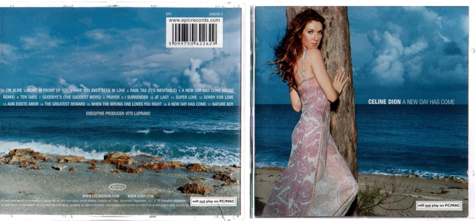 A New Day Has Come by Celine Dion (CD, 2002)