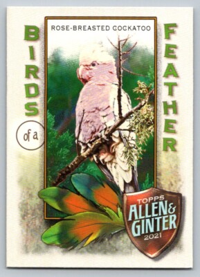 2021 Topps Allen and Ginter Birds of a feather BOF-7 Rose Breasted Cockatoo