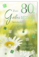 80. Geburtstag GlüCkwunschkarte Mit Umschlag MarienkäFer Am Kleeblatt Herzlichen