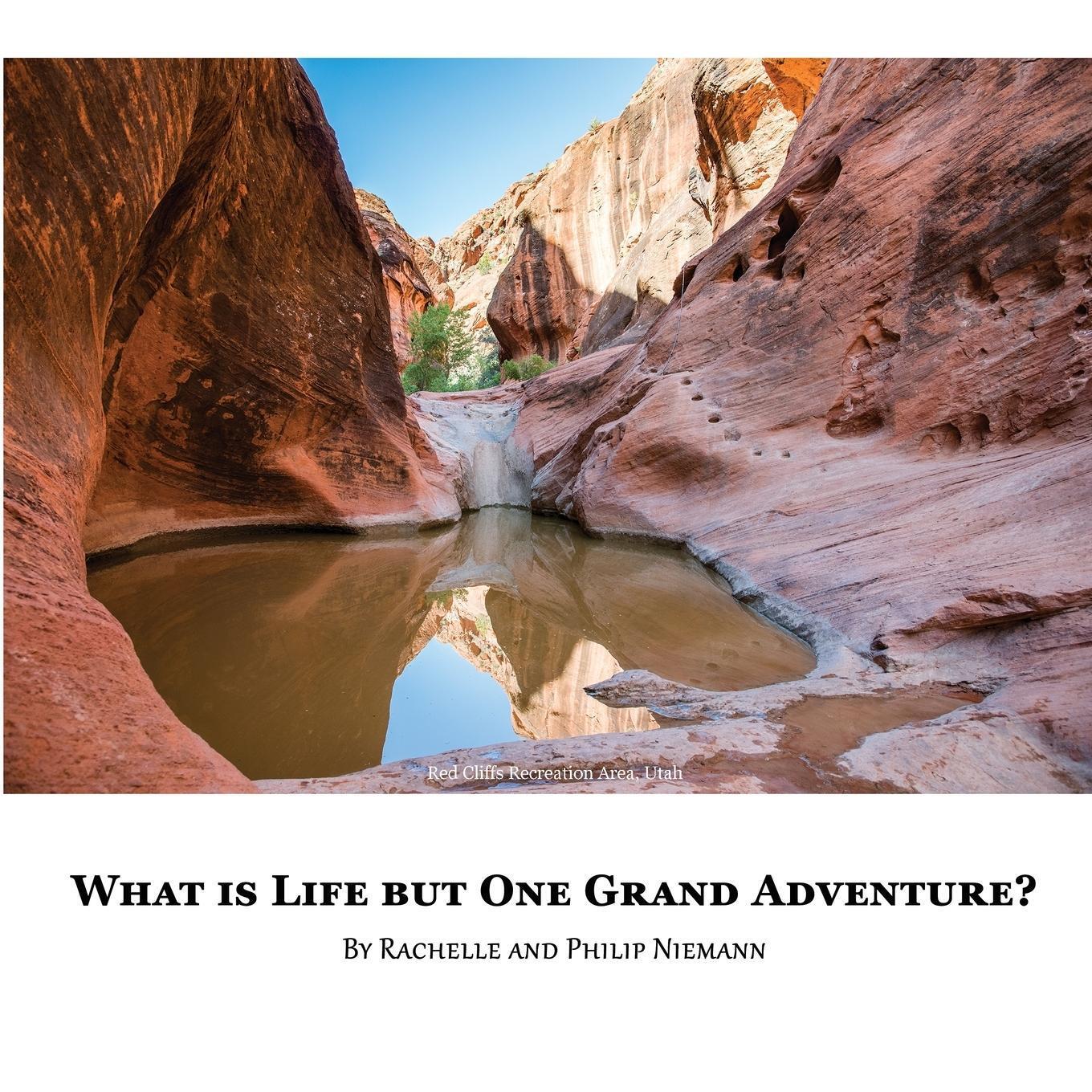 Thumbnail - What Is Life But One Grand Adventure? | Rachelle Niemann | Taschenbuch