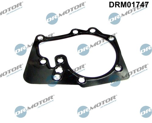 WASSERPUMPE DICHTUNG DRMOTOR AUTOMOTIVE DRM01747 P FÜR NISSAN KUBISTAR 1.6 16V - Picture 2 of 5
