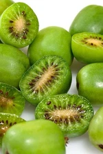 2 Issai Hardy Kiwi Plant Actinidia arguta Starter Plants No Fuzz