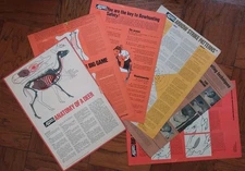 1970s Lot of 6 Archery World dealer Posters - bowhunting game instruction prints