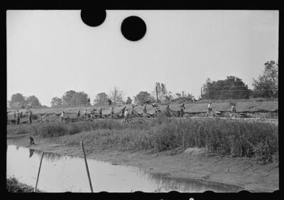 Levee workers Plaquemines Parish Louisiana 1930s Historic Old Photo 2