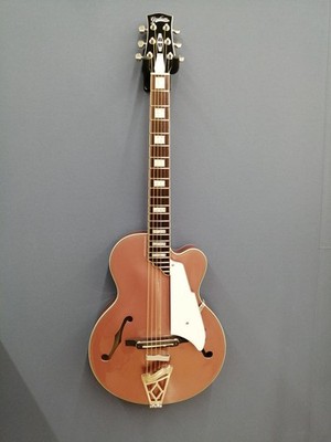 VOX VGA-5TPS electric acoustic
