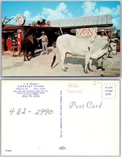 J R Choate Country Store Alvin Texas Postcard
