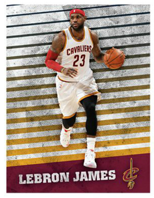 LEBRON JAMES FATHEAD MURAL 20'' x 16'' Wall Graphic Decal CLEVELAND CAVALIERS !!
