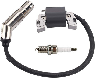 HIPA 595304 Ignition Coil Magneto Armature for Brigg Stratt 799650 592841 795315