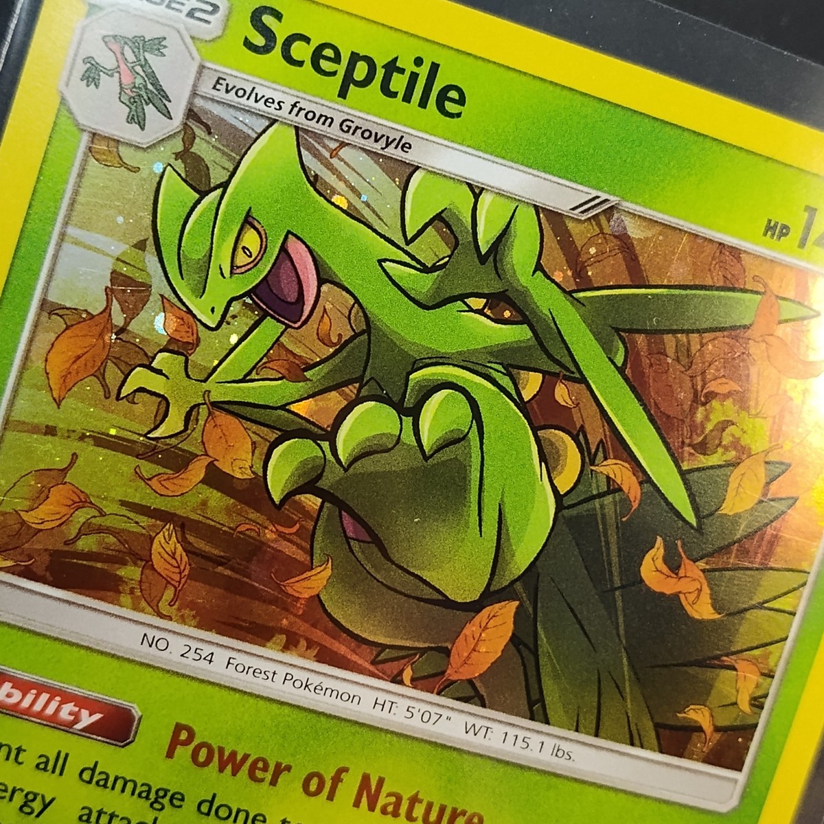 raichu pokemon card rare The Most Valuable Raichu Cards In The Pokemon TCG
