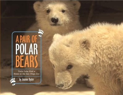 A Pair of Polar Bears : Twin Cubs Find a Home at the San Diego Zo