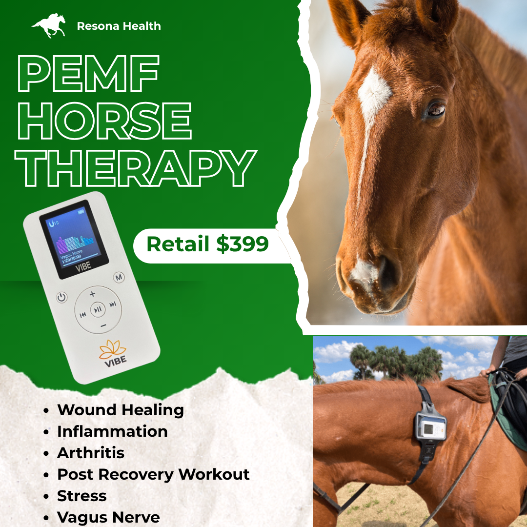 Equine PEMF Horse Therapy Device–VIBE 60 Portable Affordable
