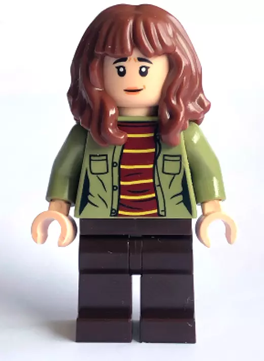 Lego joyce store byers