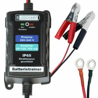 6V/12V Kfz Batterie ErhaltungsladegeräT ErhaltungsgeräT Batterietrainer Lodchamp