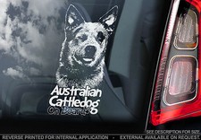 Australian Cattledog - Car Window Sticker - Cattle Dog Blue ACD Gift Decal - V03