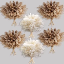 60 PCS Boho Decor, Fluffy Pompas Grass, Natural Dry Pampas Grass Small, Short...
