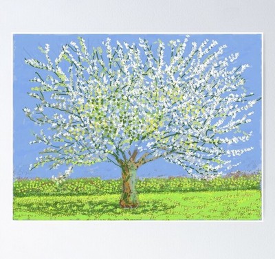 David Hockney s No.180 11. April 2020 Blossom Tree kleines Poster