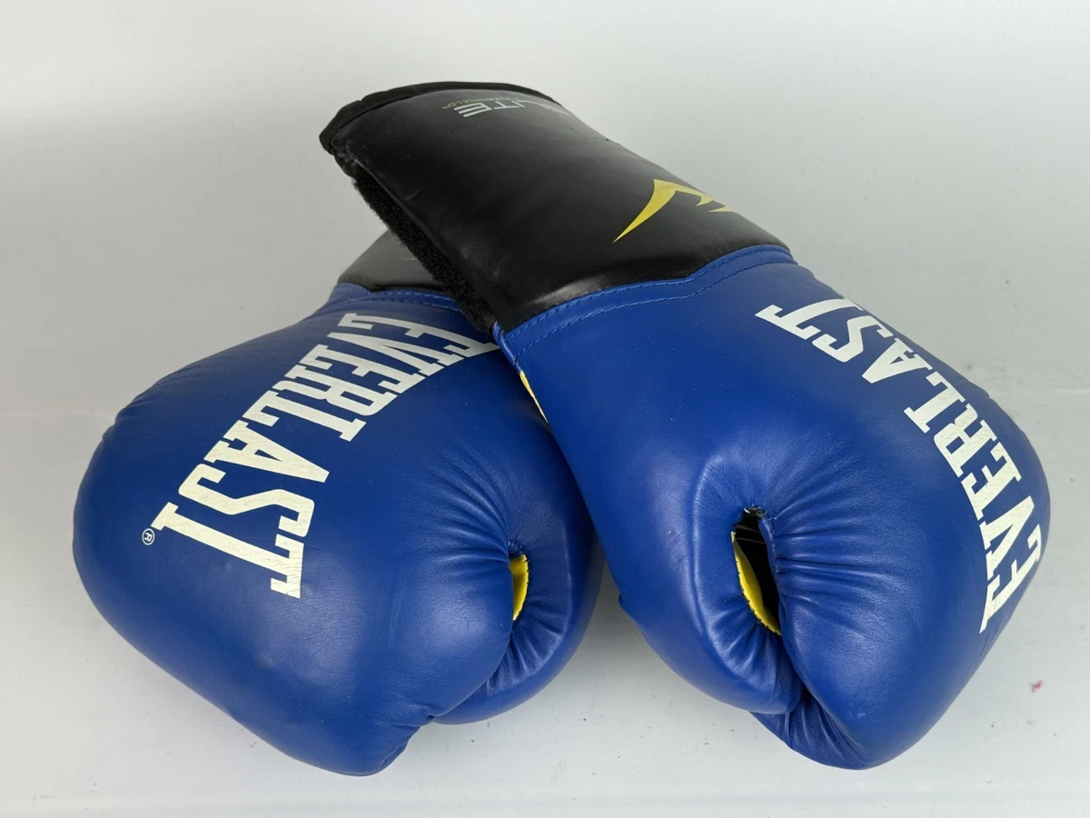 Everlast Blue 14 oz. Weight Boxing Gloves for sale | eBay