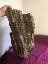 Petrified Wood Log 36 Lbs Natural Raw From East Texas 18&rdquo; X 8 X 6&rdquo;