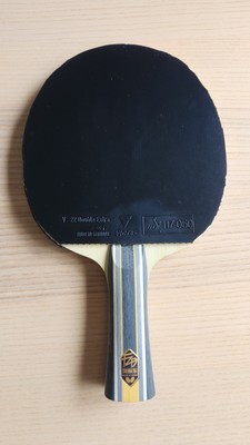 Fan Zhendong Super ZLC With Victas V22 Double Extra 