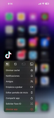 IPhone 14 Pro Max With Tiktok