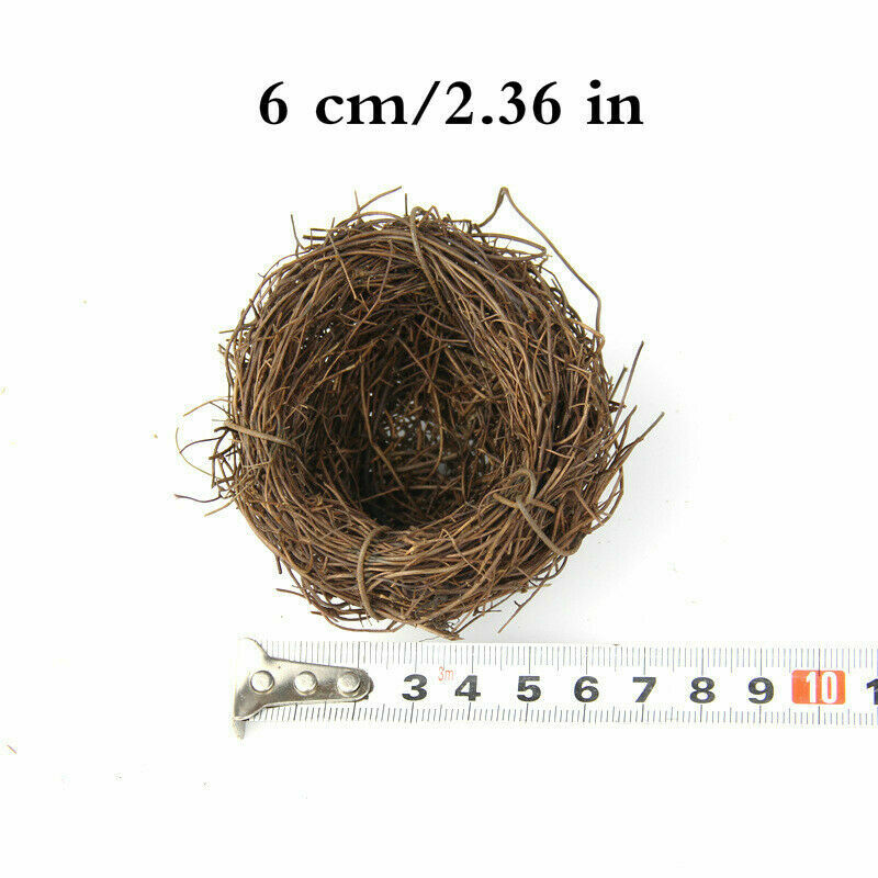Picture 1