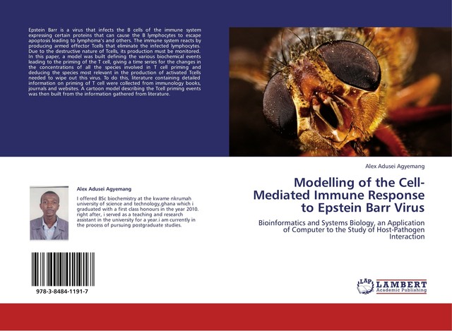 Modelling of the Cell-Mediated Immune Response to Epstein Barr Virus ...