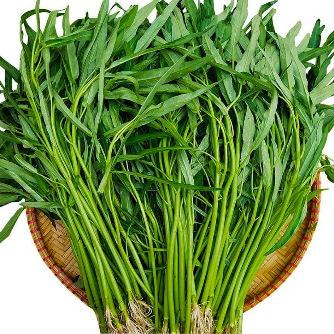Fresh Water Spinach Seeds | Kangkong | Heirloom Non-GMO | Asian Vegetable Seeds