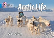 Sean Callery Arctic Life (Paperback) Collins Big Cat