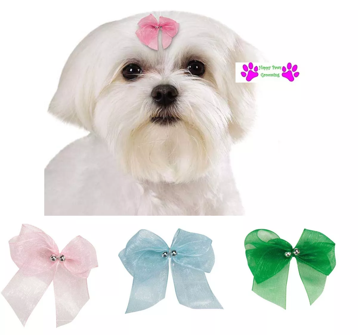 Dog grooming sale ribbon
