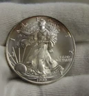 1999 US Silver Eagle $1 Unc Nice Edge Toning