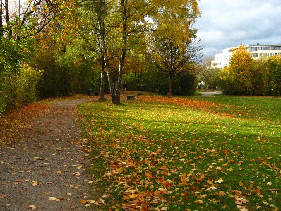 Canon PowerShot A80 | dreh- und schwenkbare Display | getestet ✅