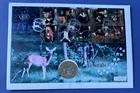 1994 Isle Of Man “Preserve Planet Earth” Crown PNC. Woodland Animals 019.