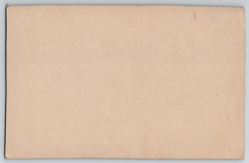 Hübsche Dame Edwardian Weihnachten Stechpalme große Handtasche Handtasche Postkarte um 1910 - Bild 2 von 2